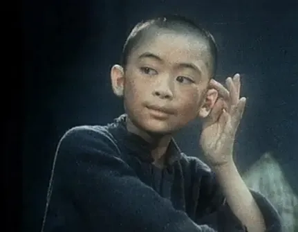 樊少皇近照